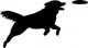Dog Catching Frisbee Wall Decal