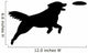 Dog Catching Frisbee Wall Decal