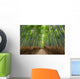 Bamboo Forest Kyoto Japan Wall Decal