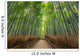 Bamboo Forest Kyoto Japan Wall Decal