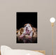 Puppy American Staffordshire Terrier Wall Mural