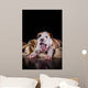 Puppy American Staffordshire Terrier Wall Mural