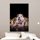 Puppy American Staffordshire Terrier Wall Mural