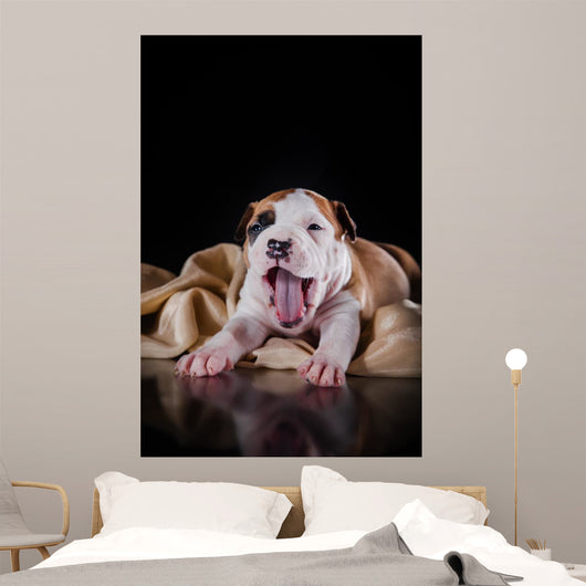 Puppy American Staffordshire Terrier Wall Mural