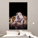Puppy American Staffordshire Terrier Wall Mural