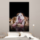 Puppy American Staffordshire Terrier Wall Mural