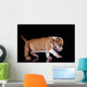 Puppy American Staffordshire Terrier Wall Mural