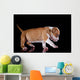 Puppy American Staffordshire Terrier Wall Mural