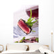 Seared Ahe Tuna Closeup Wall Decal