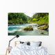 Smith River Wall Decal