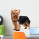 Yorkshire Terrier Wall Decal