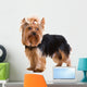 Yorkshire Terrier Wall Decal