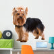 Yorkshire Terrier Wall Decal