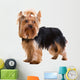 Yorkshire Terrier Wall Decal