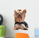 Yorkshire Terrier Wall Decal