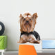 Yorkshire Terrier Wall Decal