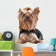 Yorkshire Terrier Wall Decal