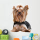 Yorkshire Terrier Wall Decal