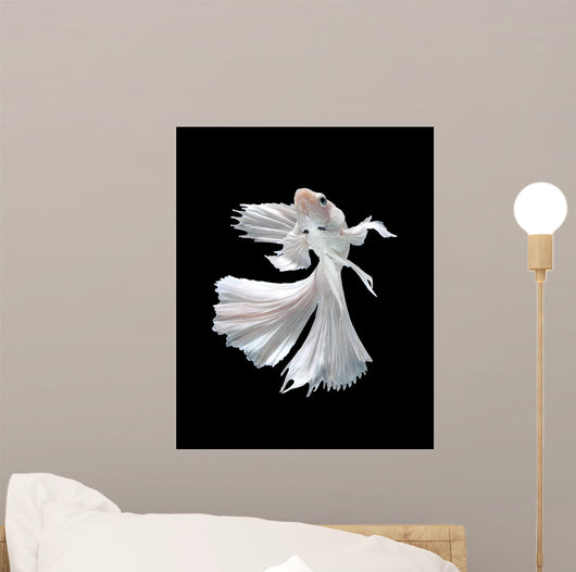 White Siamese Fighting Fish Wall Decal