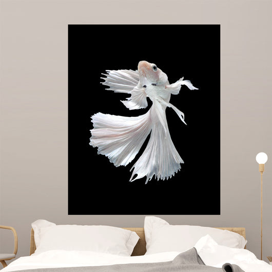 White Siamese Fighting Fish Wall Decal