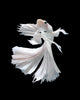 White Siamese Fighting Fish Wall Decal