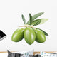 Green Olives Wall Decal