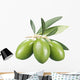 Green Olives Wall Decal