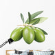 Green Olives Wall Decal