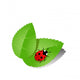Ladybird Green Leaves Vector Wall Decal
