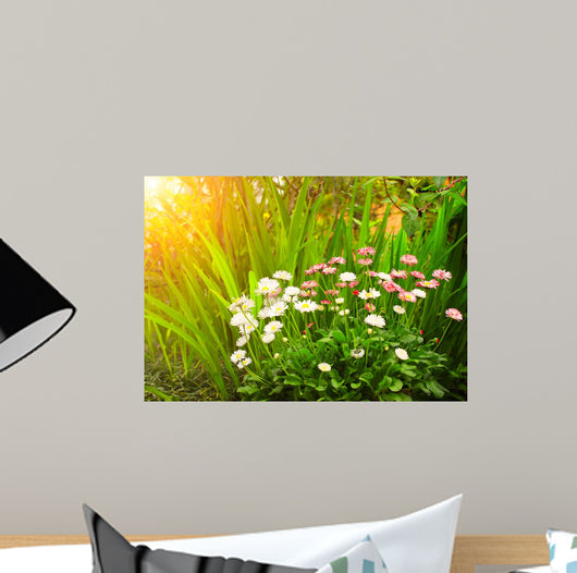 Flowers Daisy and Green Wall Decal