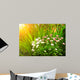 Flowers Daisy and Green Wall Decal