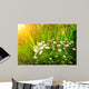 Flowers Daisy and Green Wall Decal