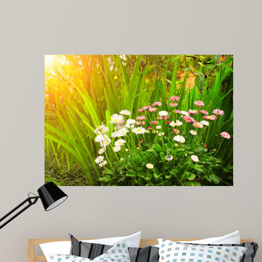 Flowers Daisy and Green Wall Decal