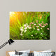 Flowers Daisy and Green Wall Decal