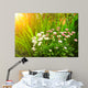 Flowers Daisy and Green Wall Decal
