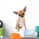 chihuahua Wall Decal