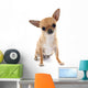 chihuahua Wall Decal
