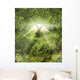 Garden Eden Wall Decal