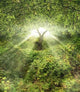 Garden Eden Wall Decal