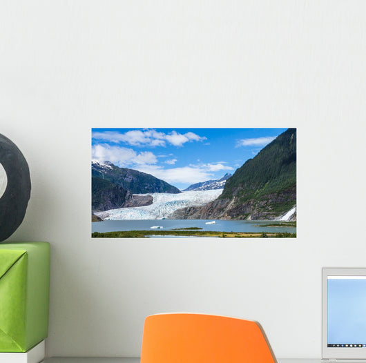 Mendenhall Glacier and Lake Wall Decal