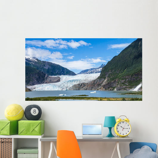 Mendenhall Glacier and Lake Wall Decal