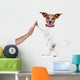 Dog and Owner Wall Decal