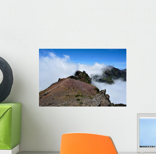 Top Wall Decal