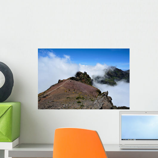 Top Wall Decal