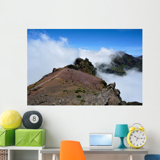 Top Wall Decal