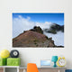 Top Wall Decal