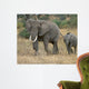 Elephants Wall Decal
