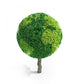World Globe Tree Wall Decal