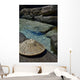 Thailand Kho Kood Wall Decal