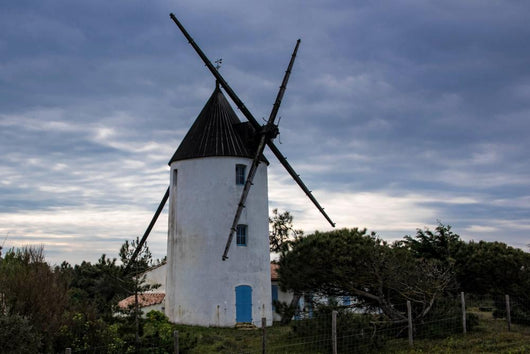 Moulin Sur La Dune Wall Decal